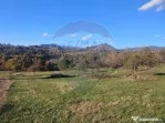 Teren zona superba Șișești