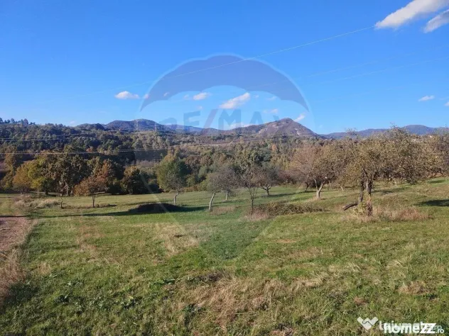 Teren zona superba Șișești