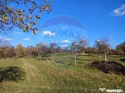Teren zona superba Șișești