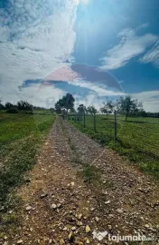 Teren zona superba Șișești 