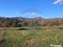 Teren zona superba Șișești