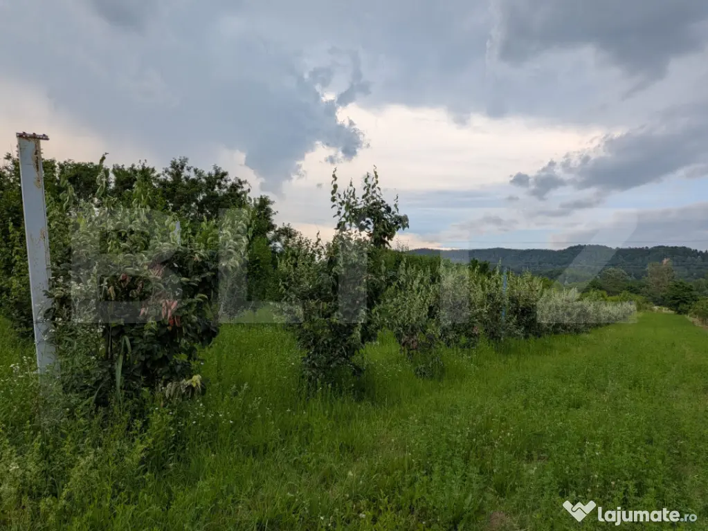 Teren intravilan, 4500 mp, zona Voinesti