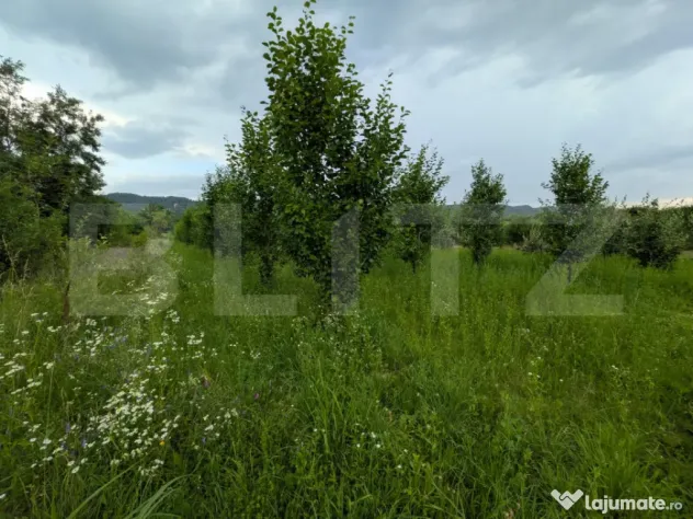 Teren intravilan, 4500 mp, zona Voinesti