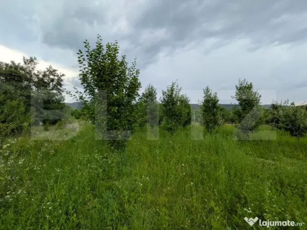 Teren intravilan, 4500 mp, zona Voinesti