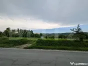 Vand teren intravilan, in Voinesti