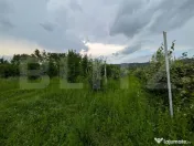 Vand teren intravilan, in Voinesti