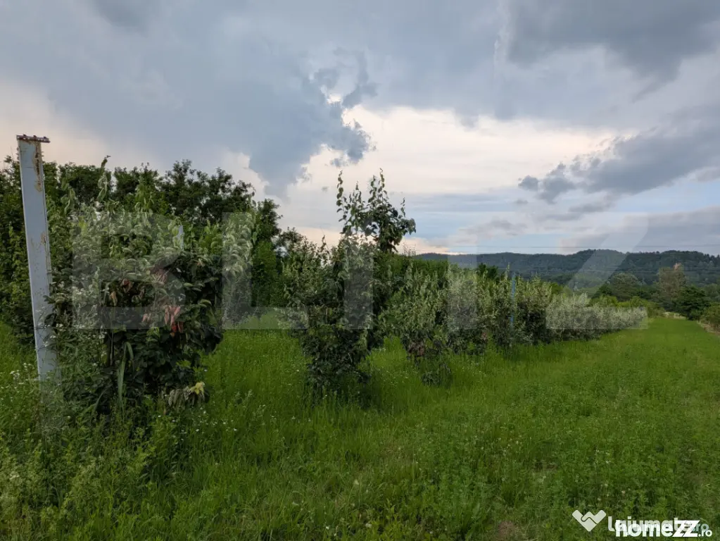 Teren intravilan, 4500 mp, zona Voinesti - Voinesti (Dambovita)
