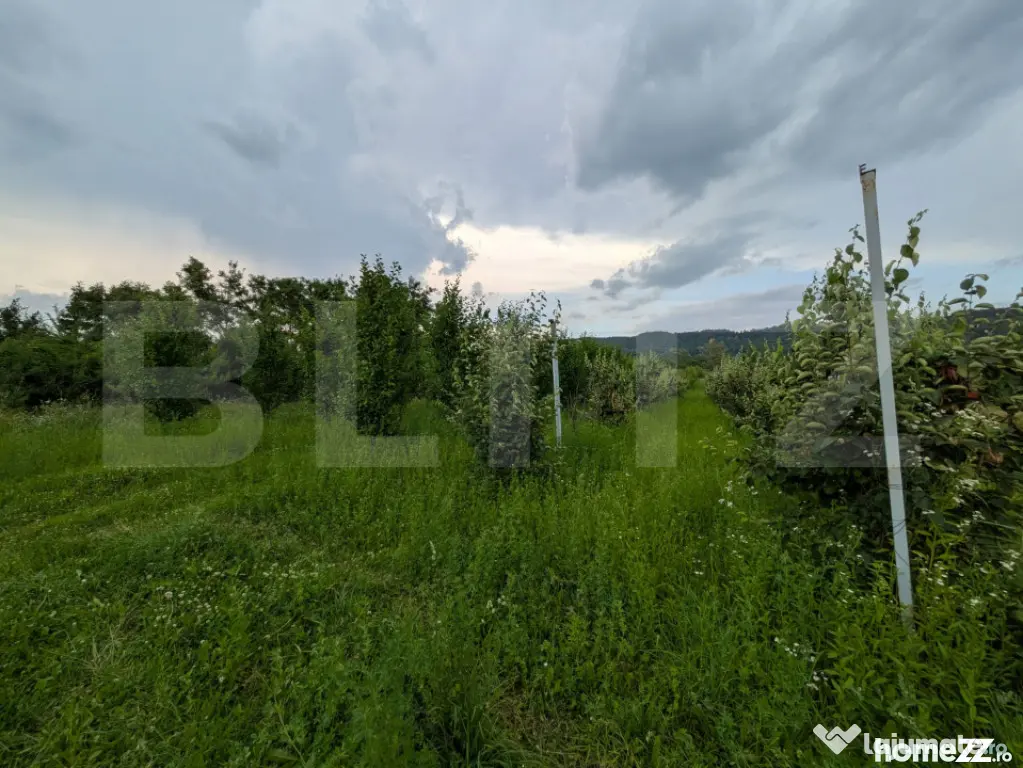 Teren intravilan, 4500 mp, zona Voinesti - Voinesti (Dambovita)