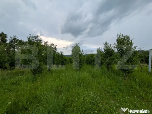 Teren intravilan, 4500 mp, zona Voinesti - Voinesti (Dambovita)