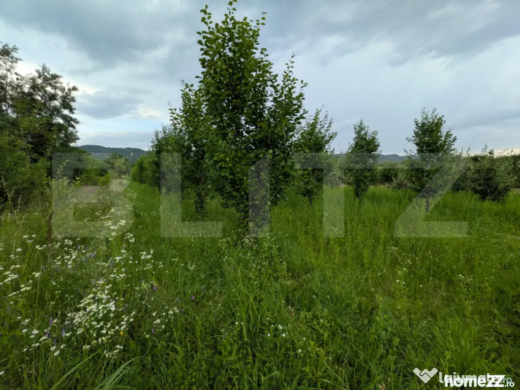 Teren intravilan, 4500 mp, zona Voinesti - Voinesti (Dambovita)