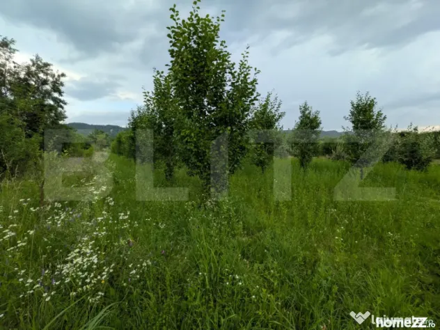 Teren intravilan, 4500 mp, zona Voinesti - Voinesti (Dambovita)