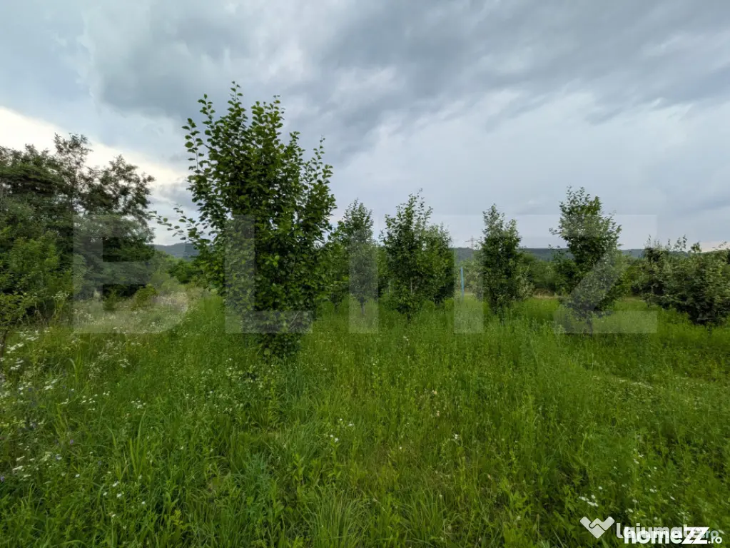 Teren intravilan, 4500 mp, zona Voinesti - Voinesti (Dambovita)