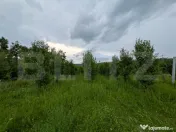 Vand teren intravilan, in Voinesti