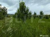 Vand teren intravilan, in Voinesti