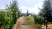 TEREN 5.150 MP CU DESCHIDERE DIRECTĂ LA DN1A – TÂRGȘORU 