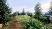 TEREN 5.150 MP CU DESCHIDERE DIRECTĂ LA DN1A – TÂRGȘORU 