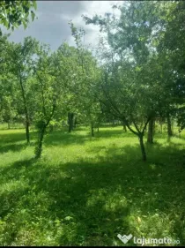 Teren de vânzare, Prahova, Comarnic, str. Podu Lung nr. 69, 1000mp
