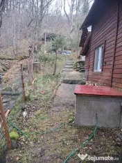 Cabana Muntele Baisorii 