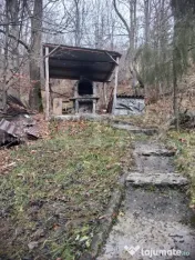 Cabana Muntele Baisorii 