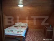 Cabana Muntele Baisorii 