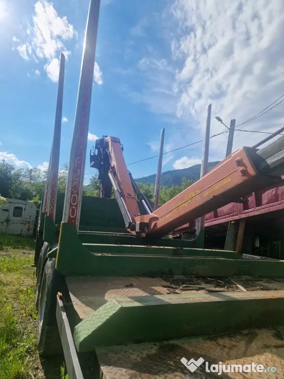 Autoutilitară transport lemn MAN