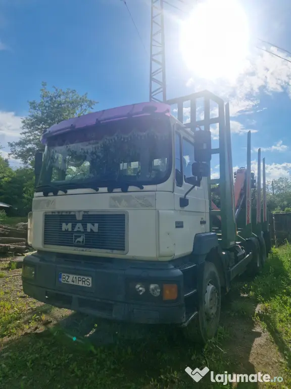 Autoutilitară transport lemn MAN