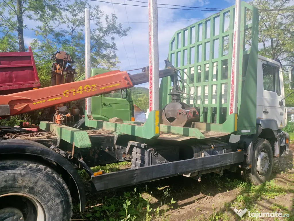 Autoutilitară transport lemn MAN