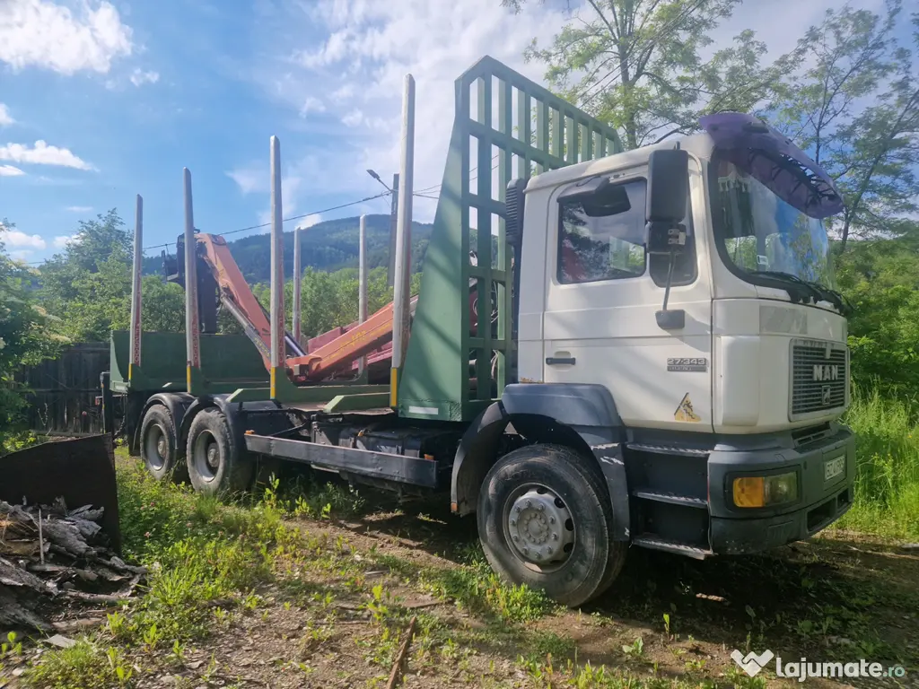 Autoutilitară transport lemn MAN