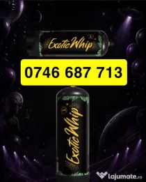 Exotic Whip Constanta&Litoral