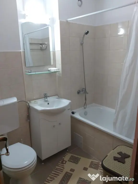 Închiriere garsonieră Rovine