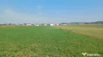 Teren intravilan 2500 mp de