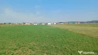 Teren intravilan 2500 mp de 
