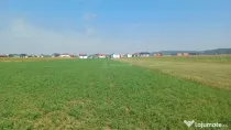 Teren intravilan 2500 mp de