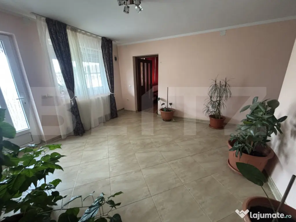CASA + SPATIU COMERCIAL, in Bradet.