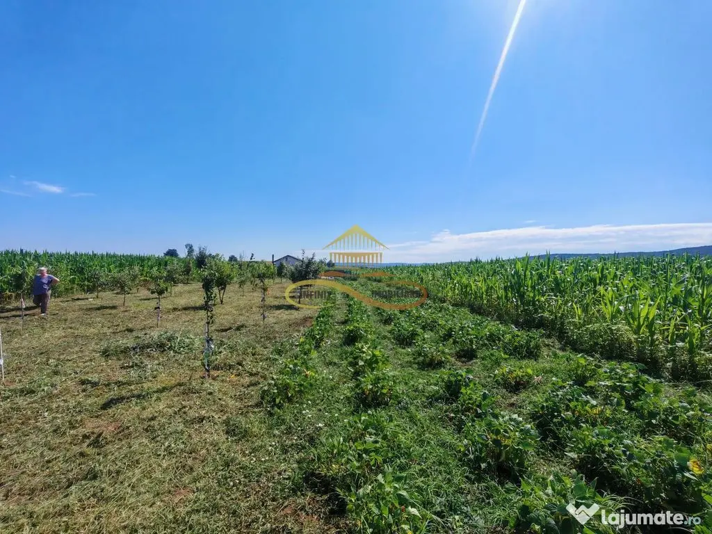 Casă de vânzare în Traian– 10 minute de BACAU