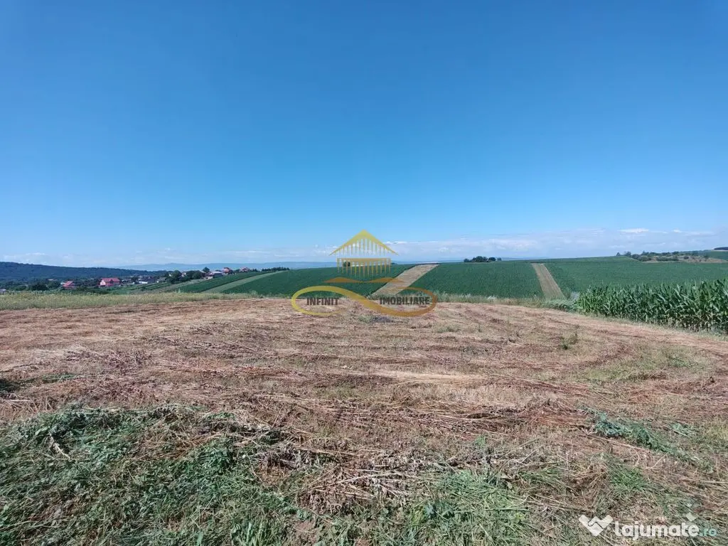 Casă de vânzare în Traian– 10 minute de BACAU