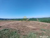 Casă de vânzare în Traian– 10 minute de BACAU 