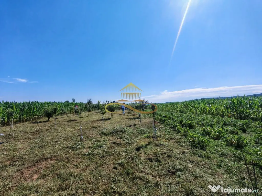 Casă de vânzare în Traian– 10 minute de BACAU
