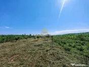 Casă de vânzare în Traian– 10 minute de BACAU 
