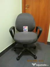 Scaun ergonomic directorial