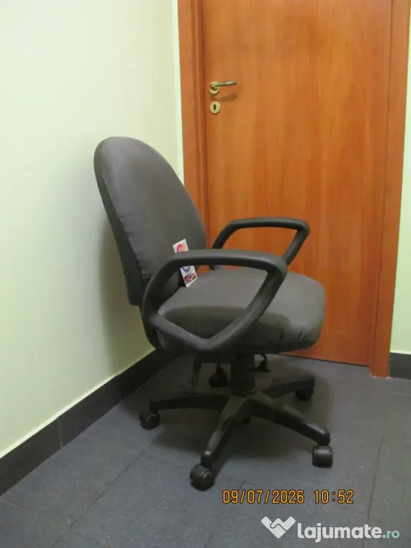 Scaun ergonomic directorial