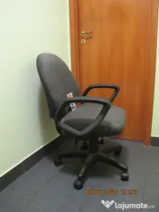 Scaun ergonomic directorial