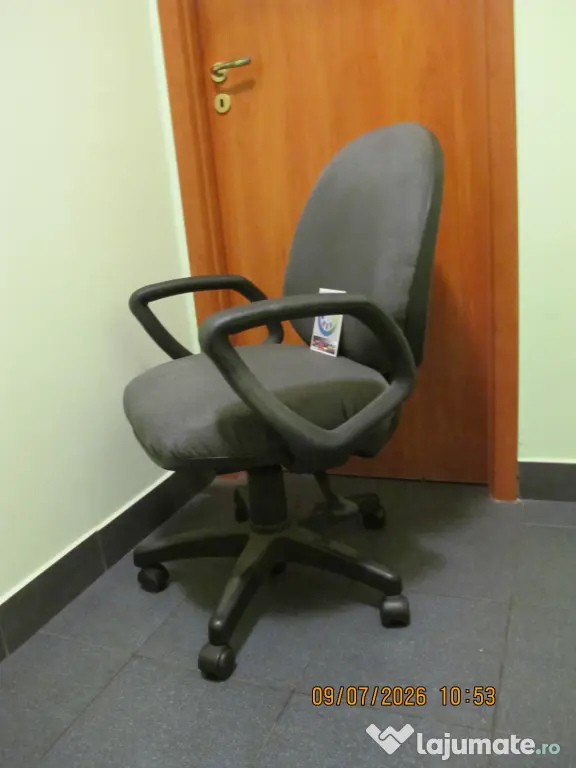 Scaun ergonomic directorial