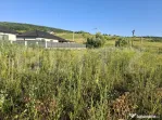 Teren intravilan, 1000 mp, zona Central - Livezeni