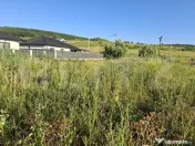 Teren intravilan, 1000 mp, zona Central - Livezeni 