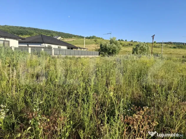 Teren intravilan, 1000 mp, zona Central - Livezeni
