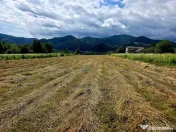 Teren 680mp Viisoara / Strada Primaverii