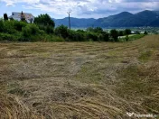 Teren 680mp Viisoara / Strada Primaverii