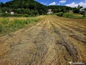 Teren 680mp Viisoara / Strada Primaverii