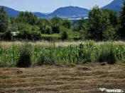 Teren 680mp Viisoara / Strada Primaverii